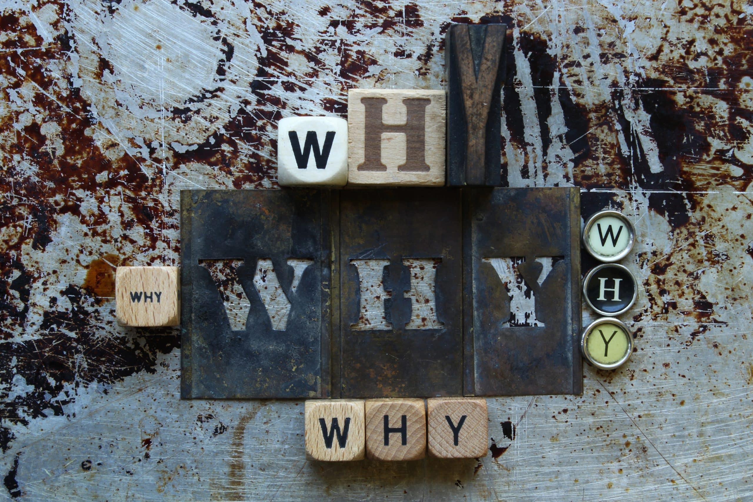 Why Do You Need an LMS for Your Organization? - Honors WP